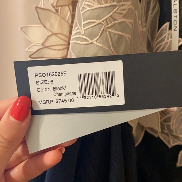 Halston Heritage Gown - Picture 5 of 5